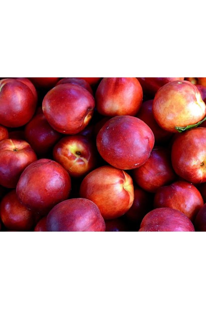 Нектарин Лола — стиглі плоди з яскравим червоним рум’янцем.